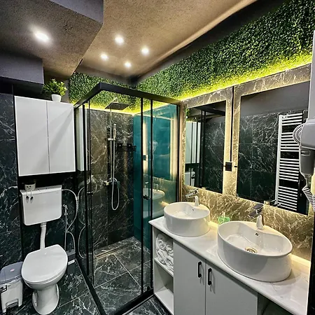 Moonlight Downtown Apartment *